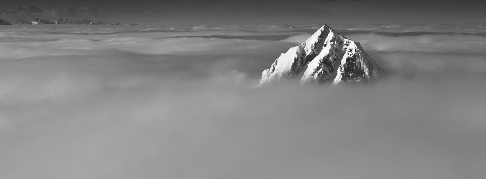 12. Platz Sosef Schafnitzel